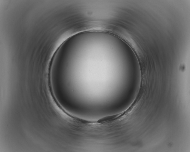 X0000094421483200711151309