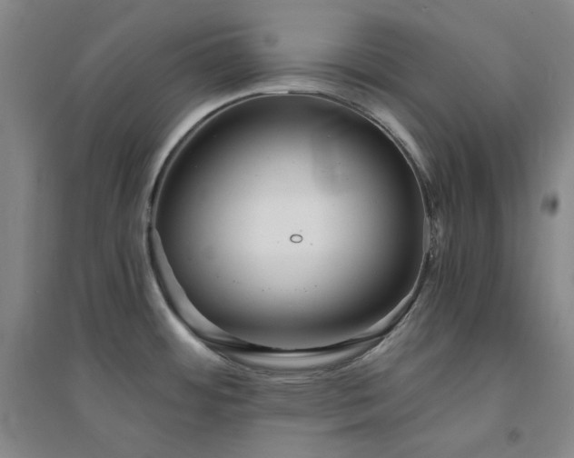 X0000094421484200711151309
