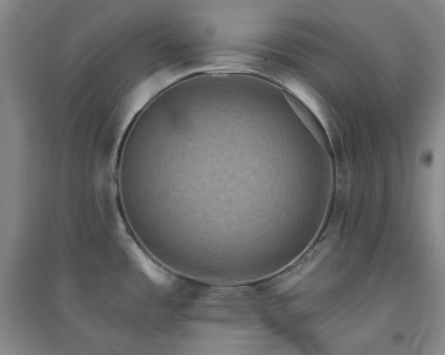 X0000094421485200711151309