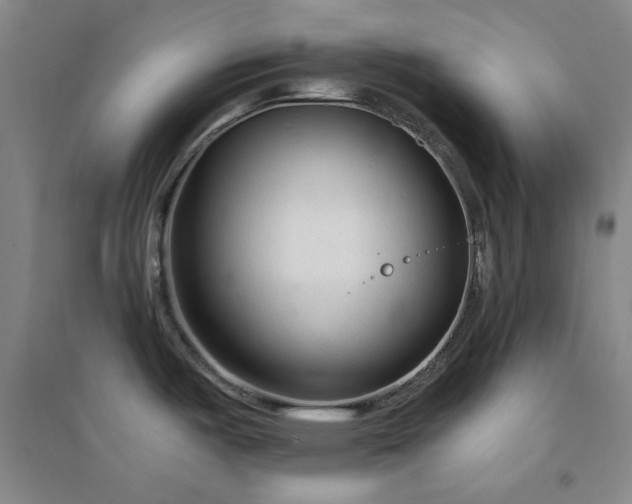 X0000094421487200711151309