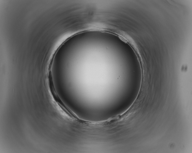 X0000094421488200711151309