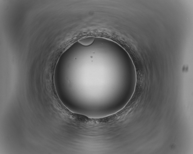 X0000094421489200711151308