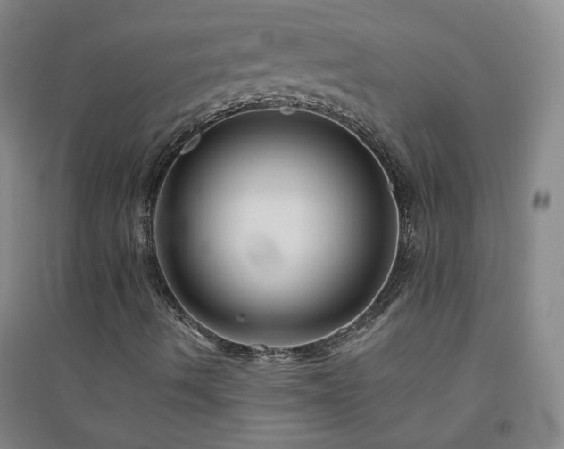 X0000094421490200711151308
