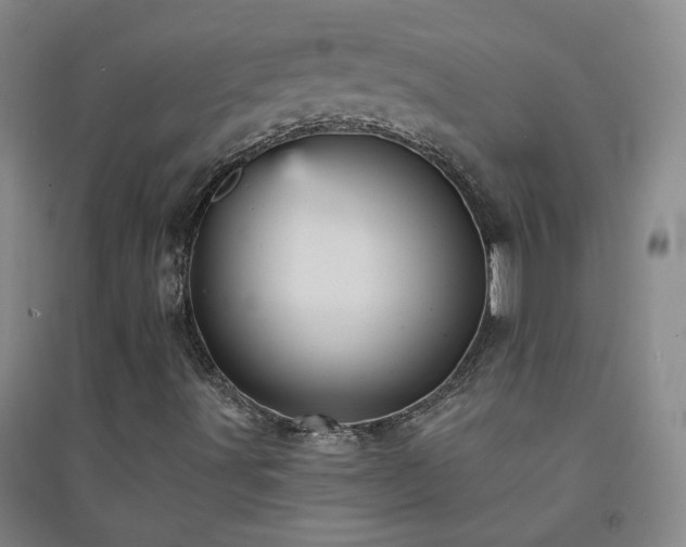 X0000094421491200711151308