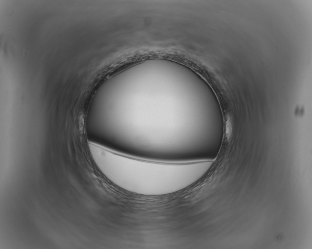 X0000094421492200711151308