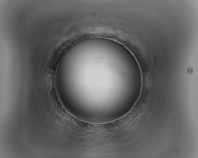 X0000094421493200711151308
