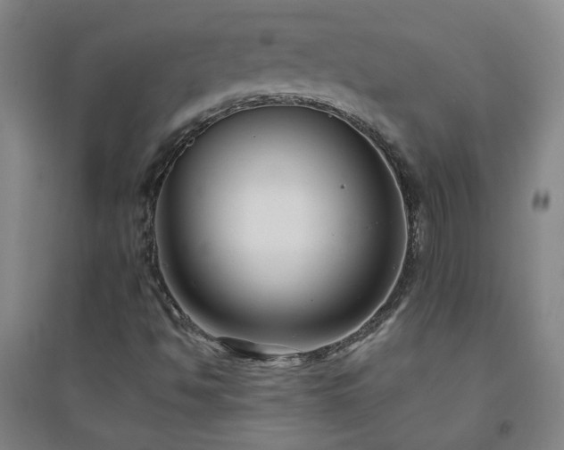 X0000094421494200711151308