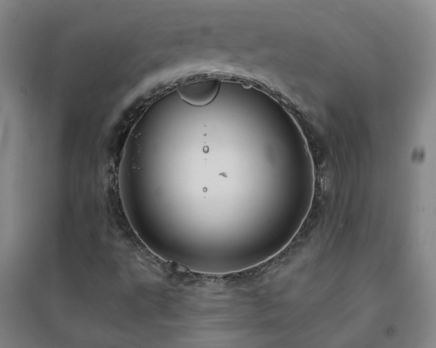 X0000094421495200711151308