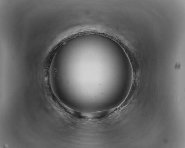 X0000094421496200711151308