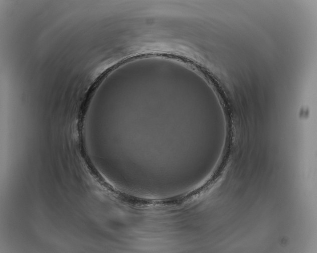 X0000094421497200711151308