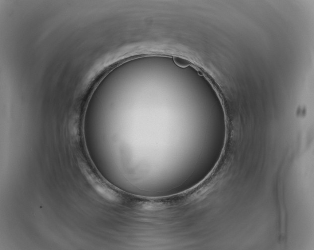 X0000094421499200711151308