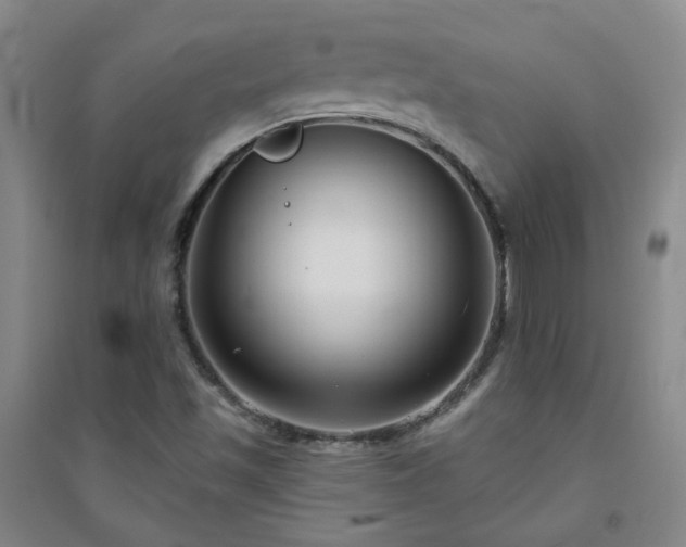 X0000094421501200711151308