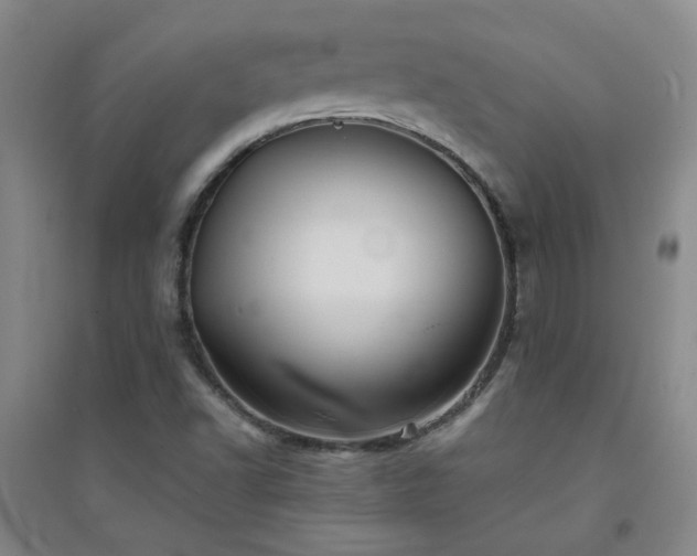 X0000094421502200711151308