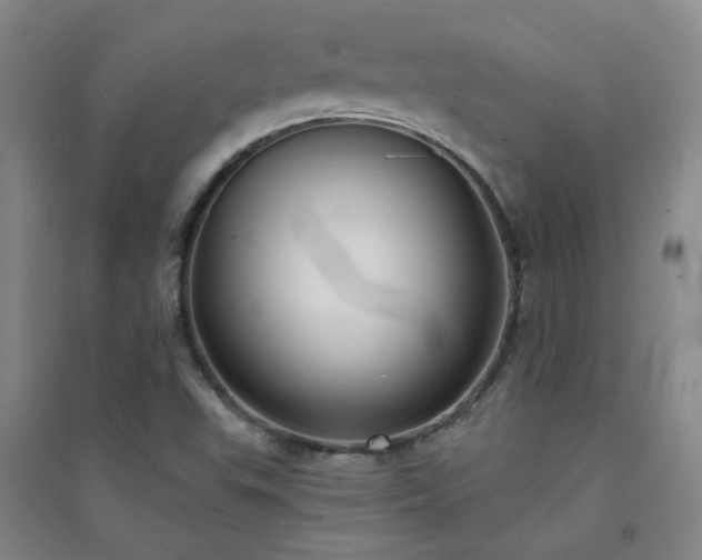 X0000094421503200711151308