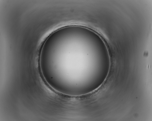 X0000094421504200711151308