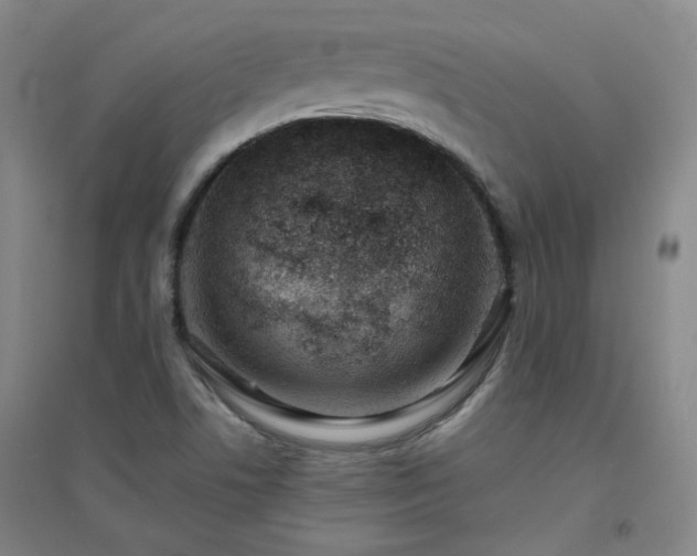 X0000094421506200711151308