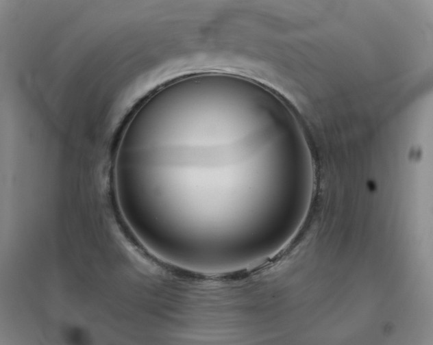 X0000094421507200711151308