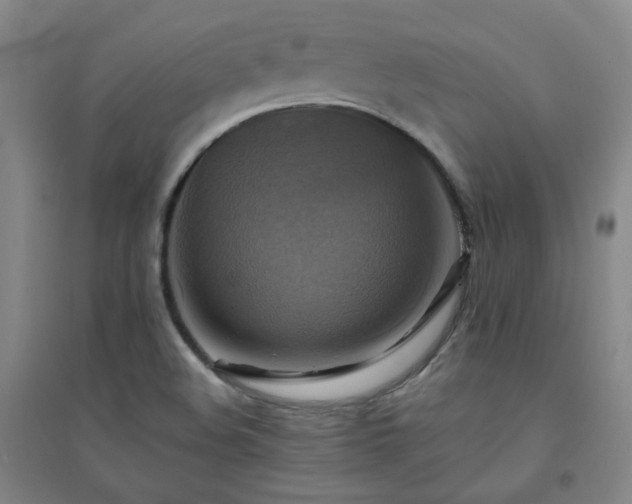 X0000094421508200711151308