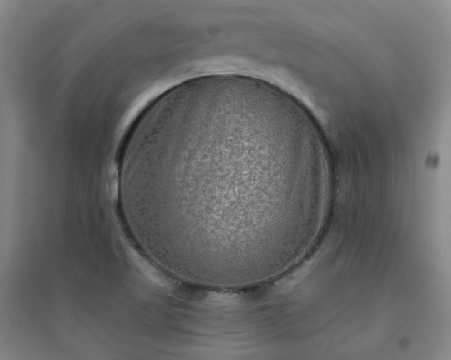 X0000094421509200711151308