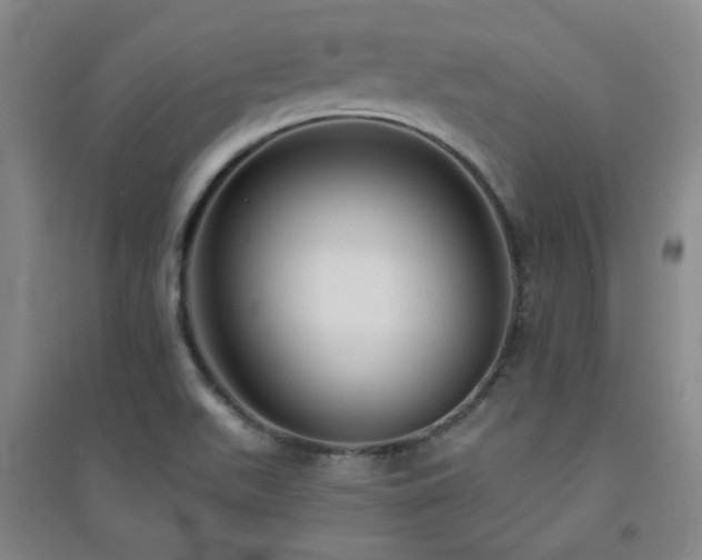 X0000094421511200711151308