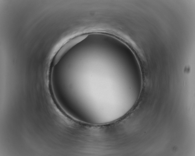 X0000094421512200711151308