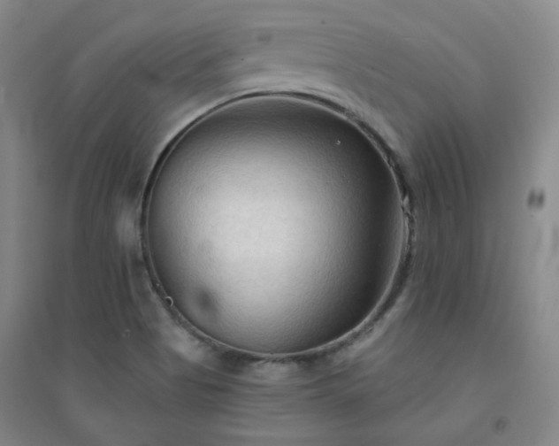 X0000094421513200711151308