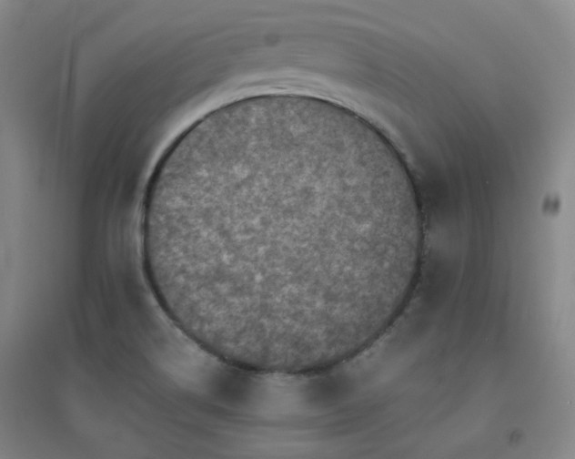 X0000094421514200711151308