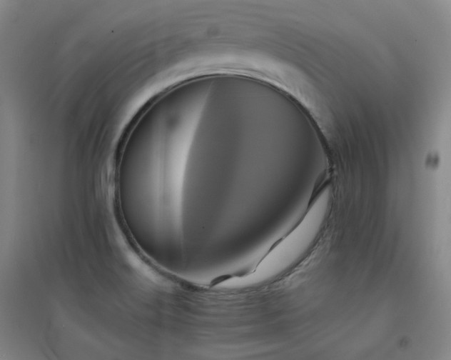 X0000094421515200711151309