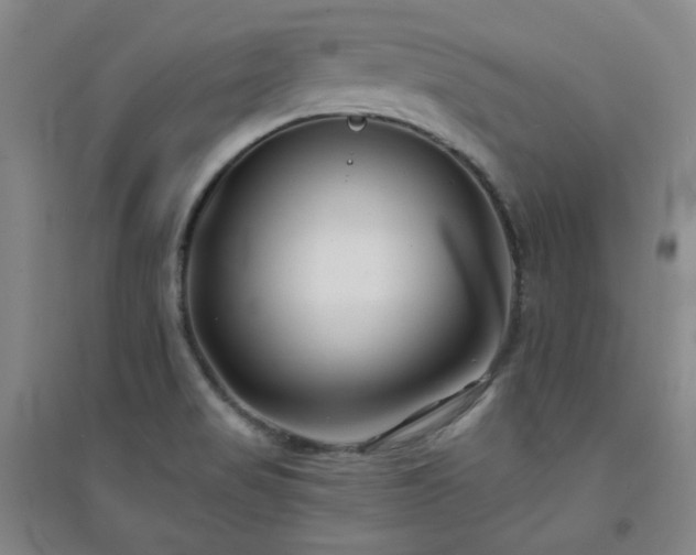 X0000094421517200711151309