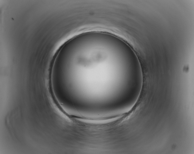 X0000094421518200711151309