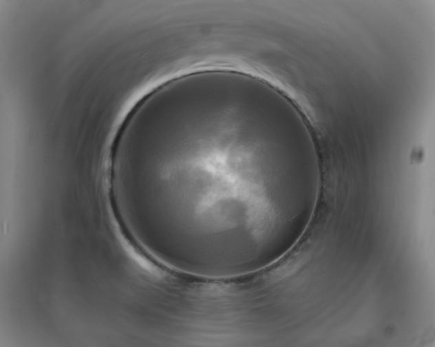 X0000094421519200711151309