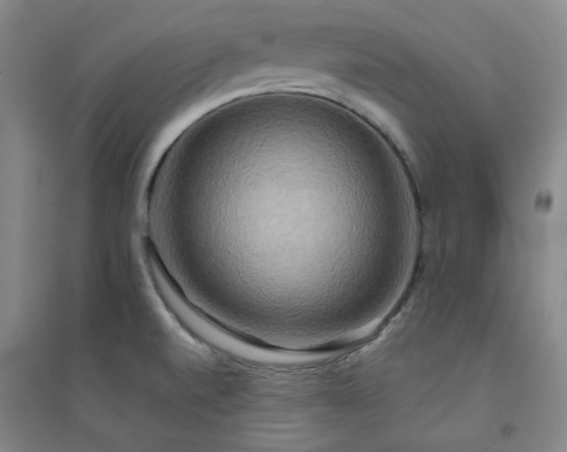 X0000094421520200711151309