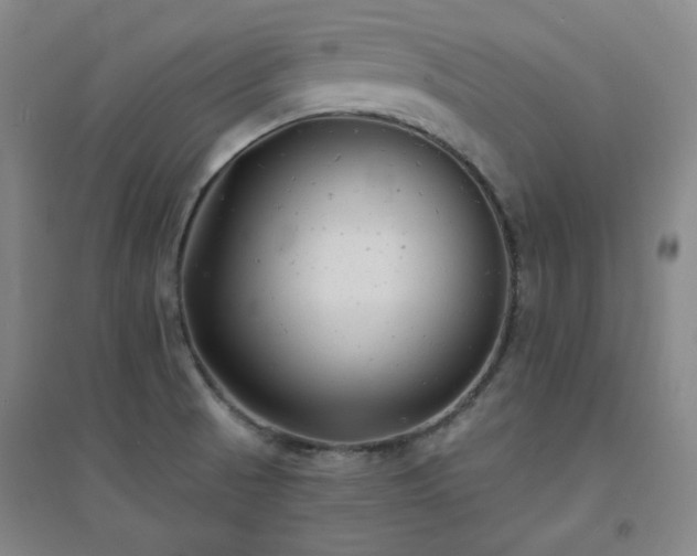 X0000094421521200711151309
