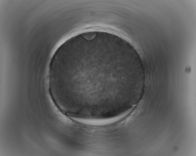 X0000094421522200711151309