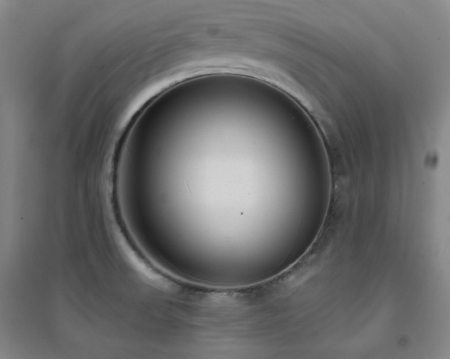 X0000094421523200711151309