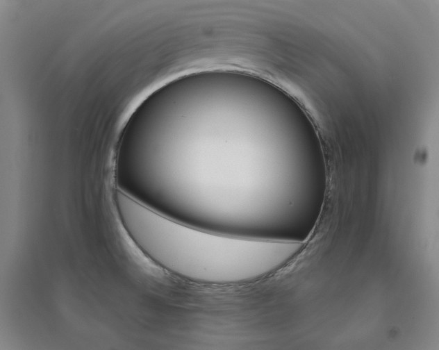 X0000094421524200711151309