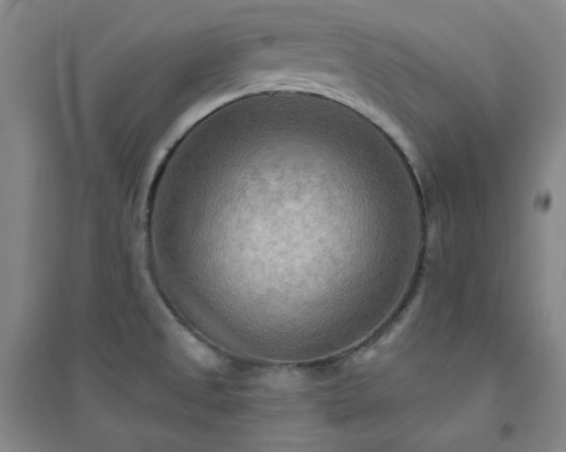 X0000094421525200711151309