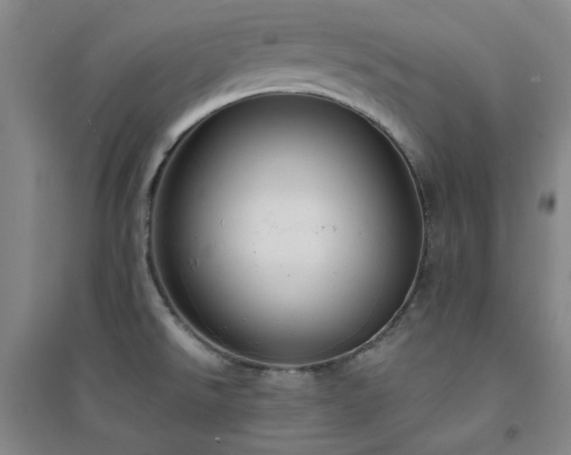 X0000094421526200711151309