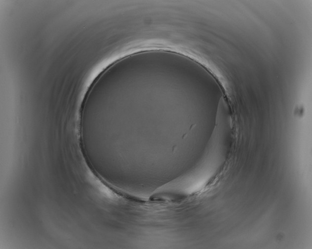 X0000094421527200711151309