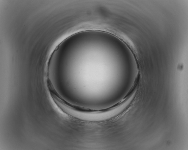X0000094421528200711151309