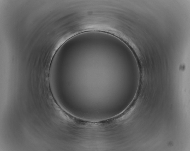 X0000094421529200711151309