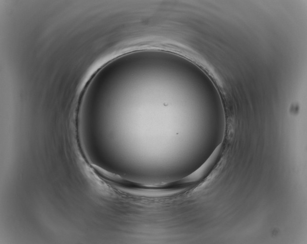 X0000094421530200711151309
