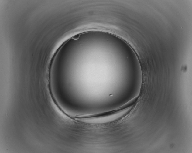 X0000094421531200711151309