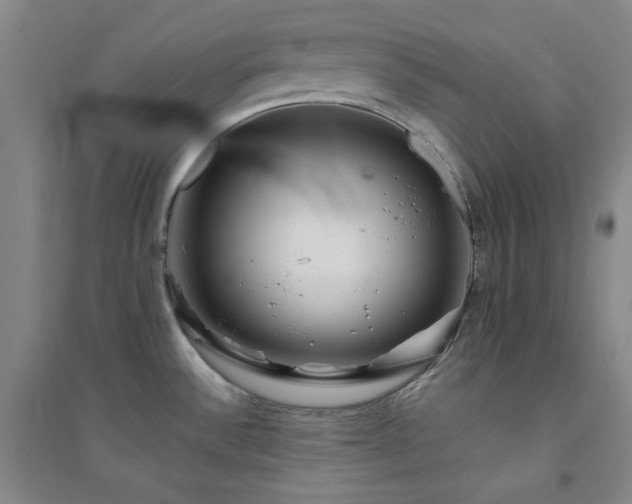 X0000094421532200711151309
