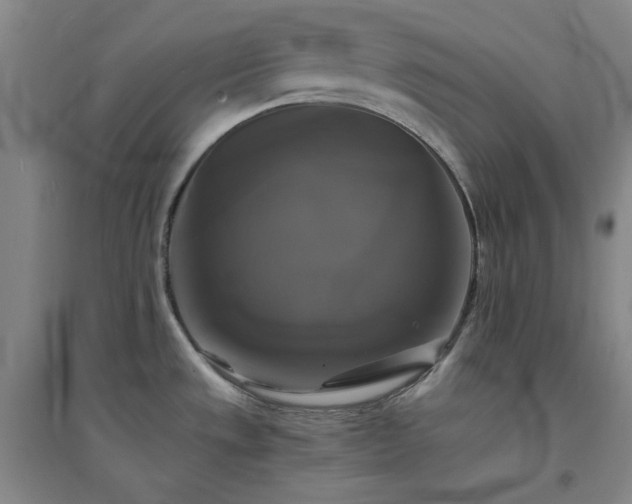 X0000094421533200711151309