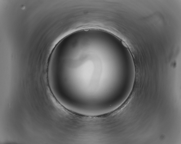 X0000094421534200711151309