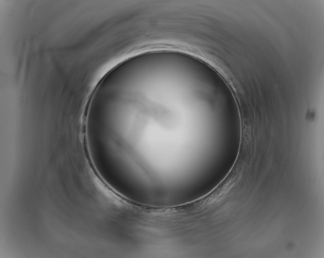 X0000094421535200711151309