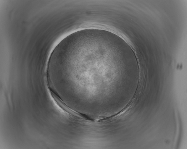 X0000094421536200711151309