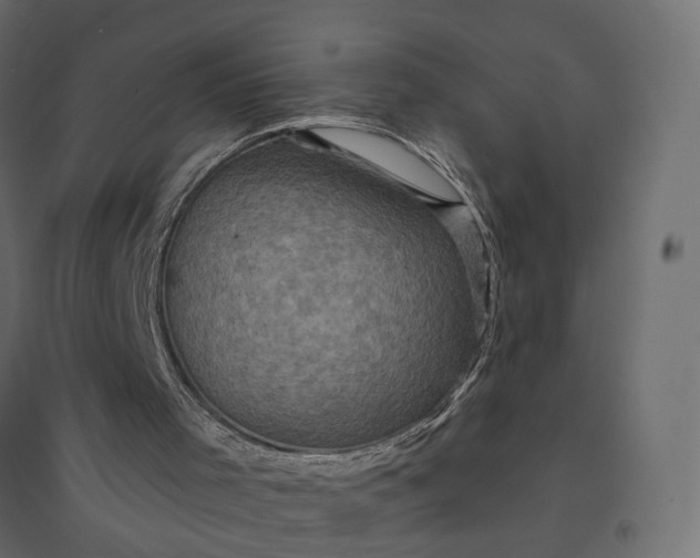 X0000094420001200711211421