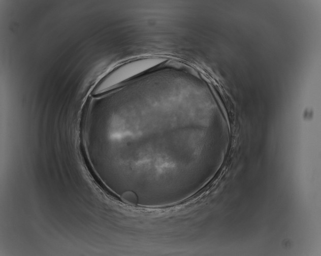 X0000094420002200711211421